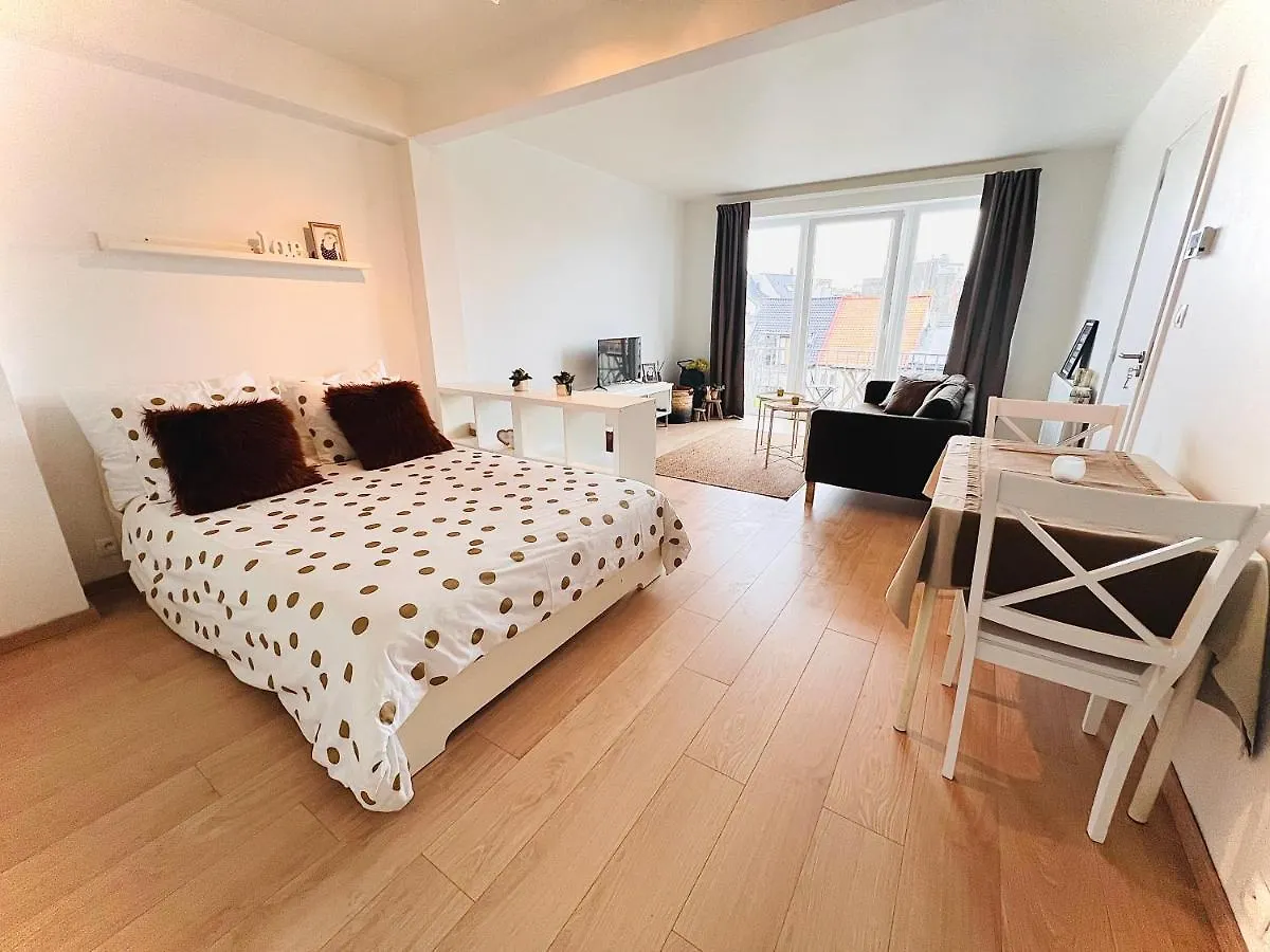 Quiet & Cosy Studio Ostend 0*,  Belgium